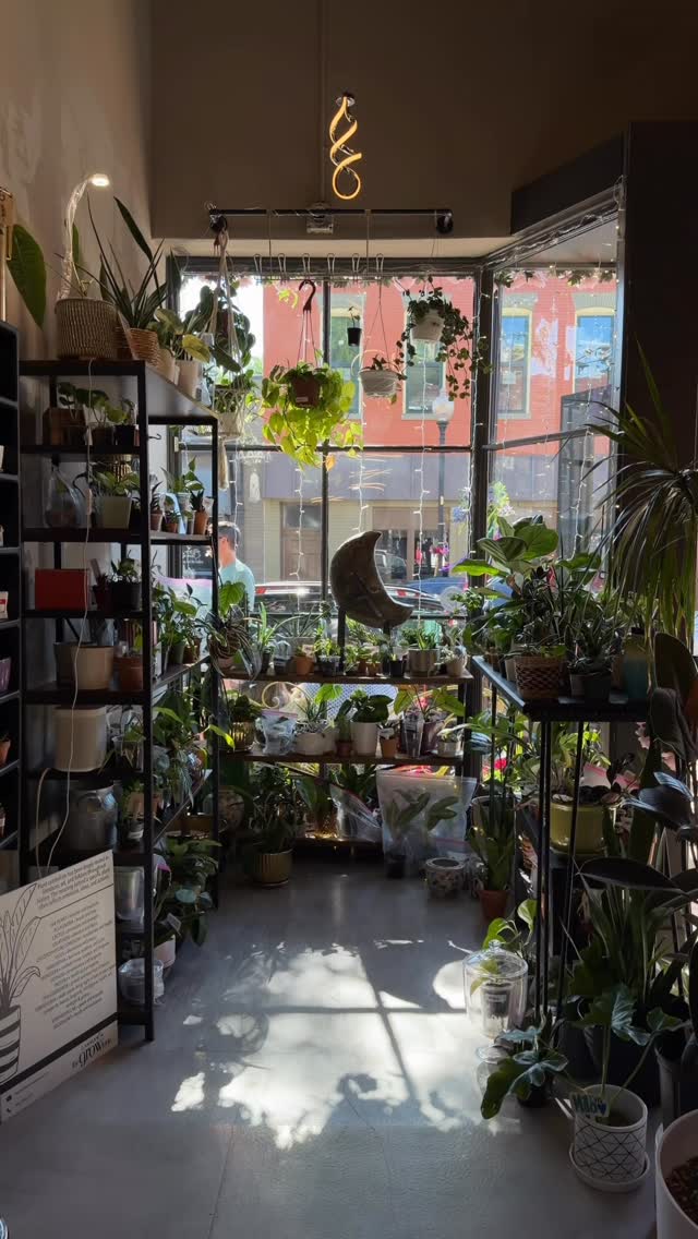Living Plants
