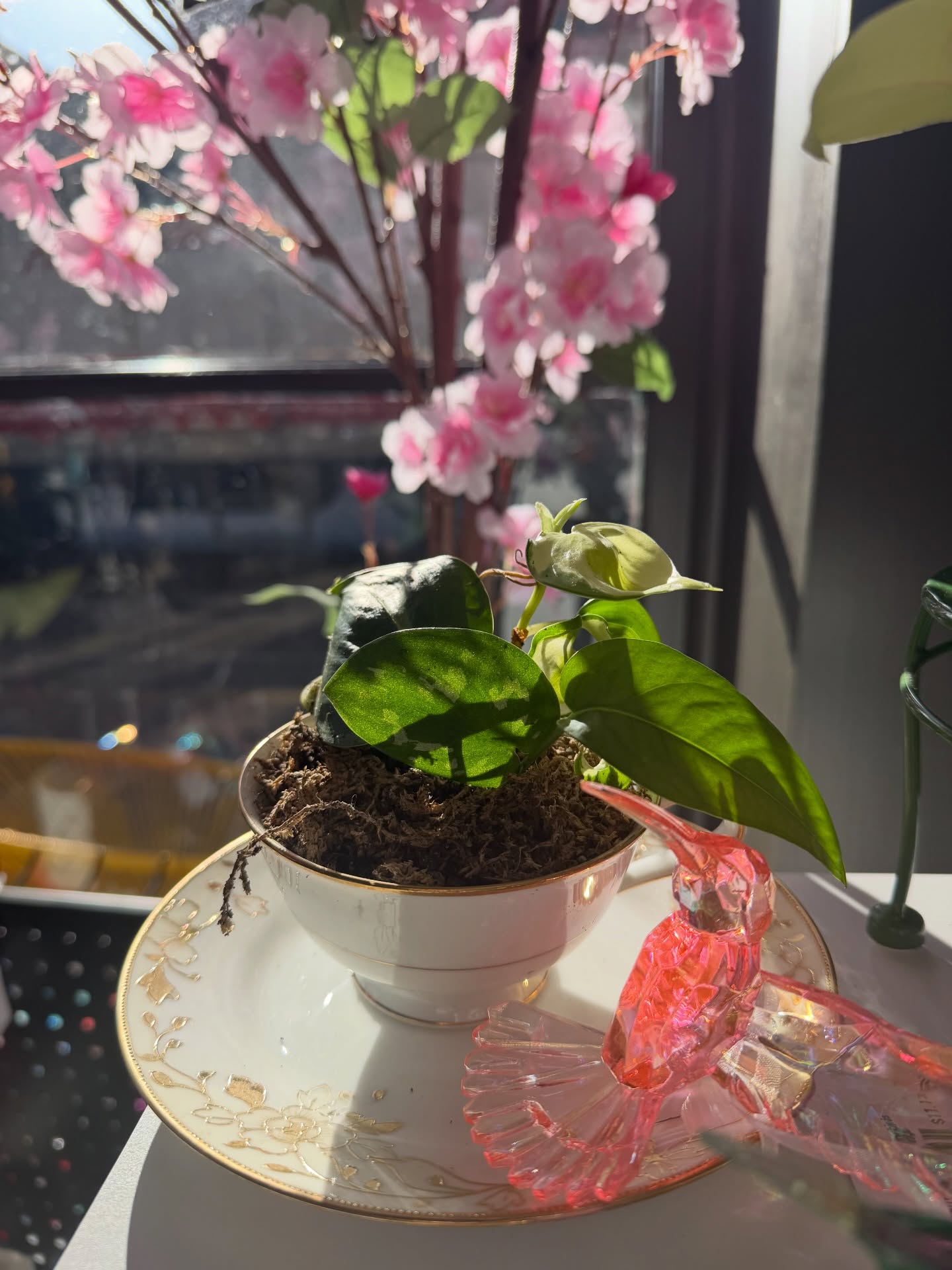 Botanical Vessels
